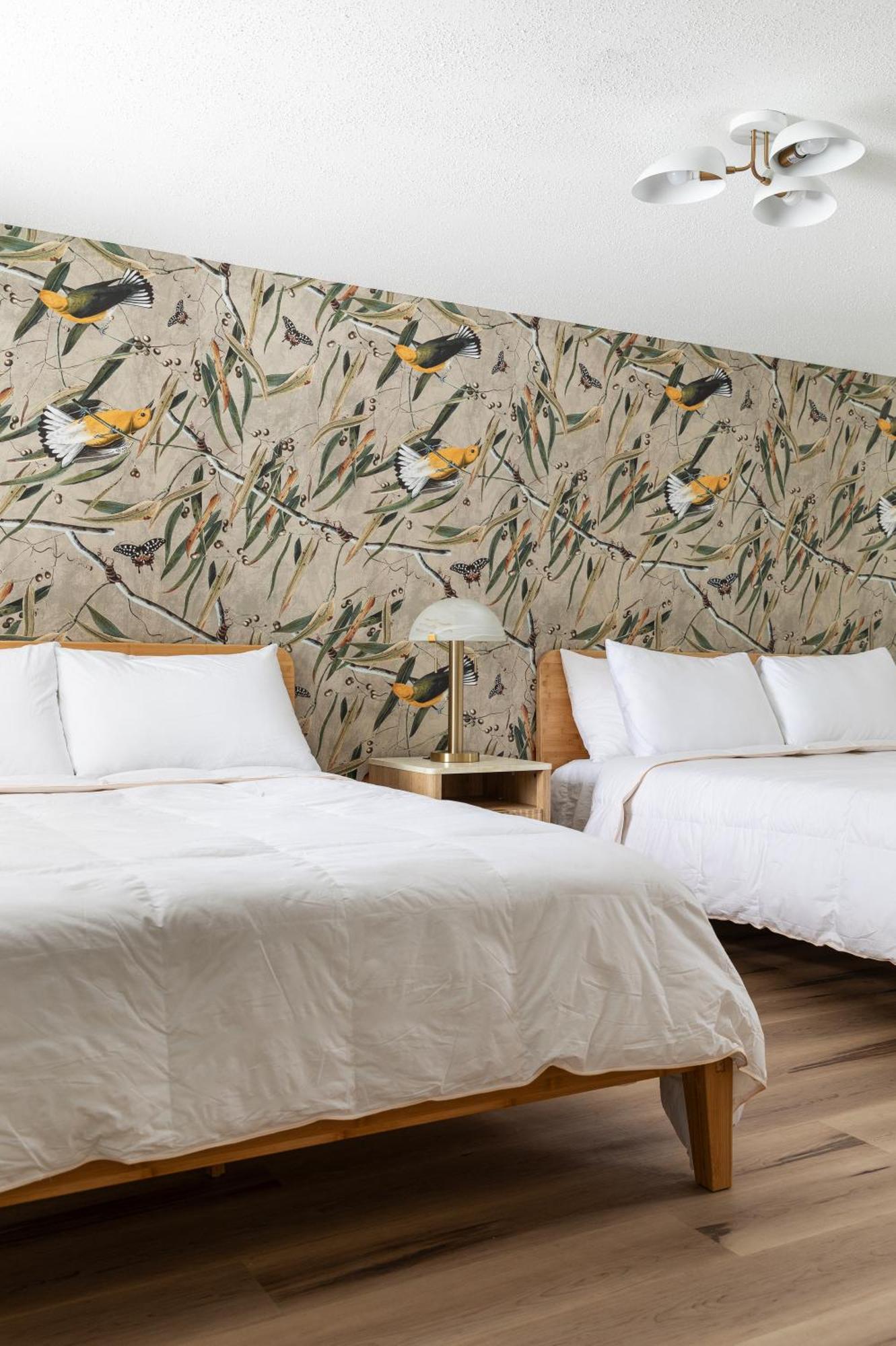 The Windmoor Lodge Grayling Chambre photo